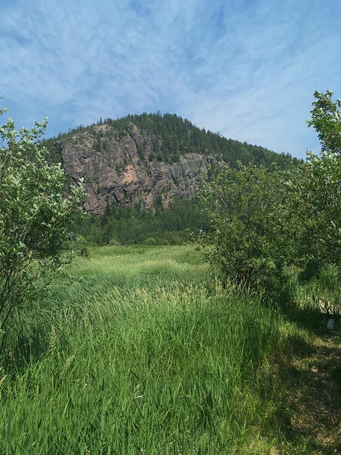La Chouette Viree Panzió Grandes-Bergeronnes Kültér fotó